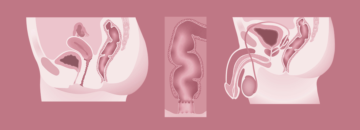transmission route chlamydia